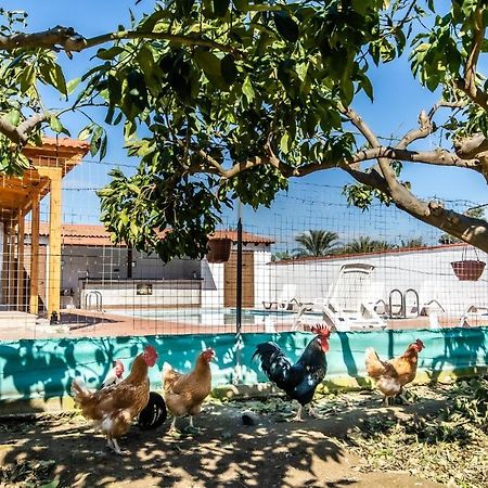 Reel Paradise Villa, Cyprus Lárnaka Eksteriør bilde