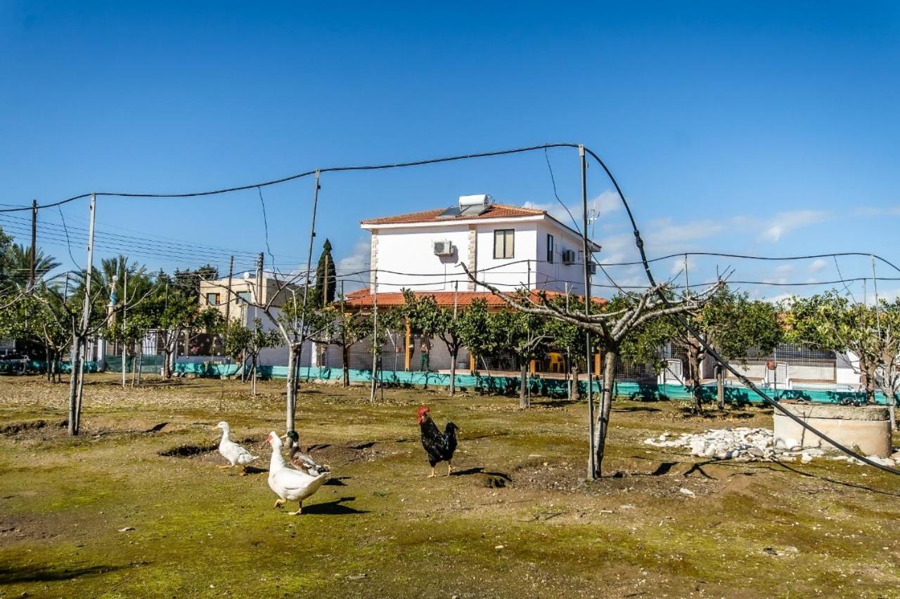 Reel Paradise Villa, Cyprus Lárnaka Eksteriør bilde