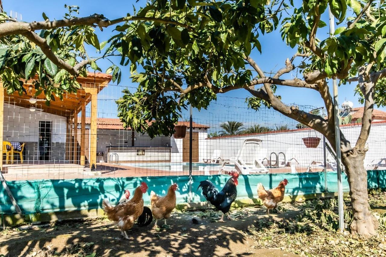 Reel Paradise Villa, Cyprus Lárnaka Eksteriør bilde